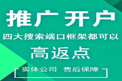 不同平台的SEM广告投放比较及成功案例分析